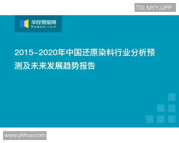 南京篮球队阵地战革新探讨与未来发展策略分析
